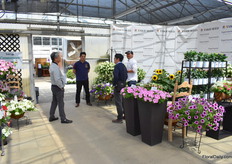 Visitors at American Takii.